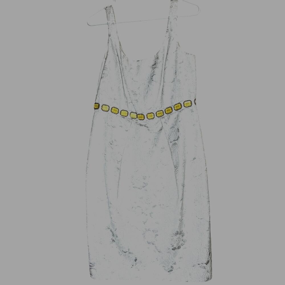 Carmen Marc Valvo dress size 10 damask fabric with jeweled waist sleevelss
